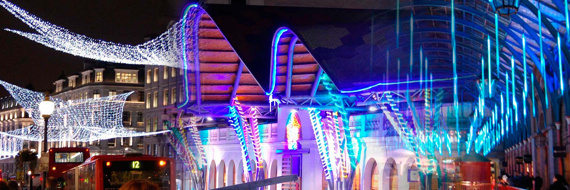 Redes, mangueras y goteos de leds